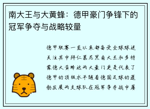 南大王与大黄蜂：德甲豪门争锋下的冠军争夺与战略较量