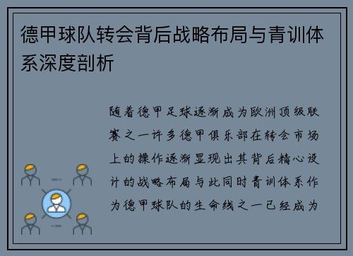 德甲球队转会背后战略布局与青训体系深度剖析