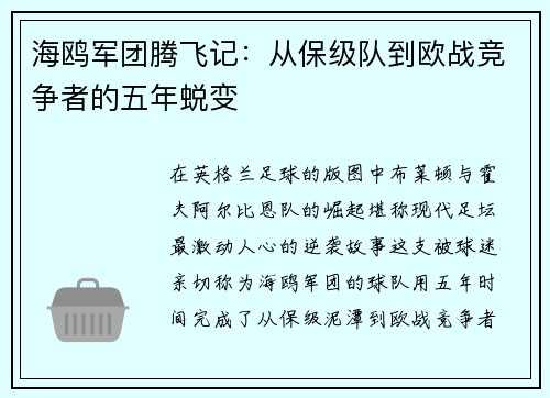 海鸥军团腾飞记：从保级队到欧战竞争者的五年蜕变